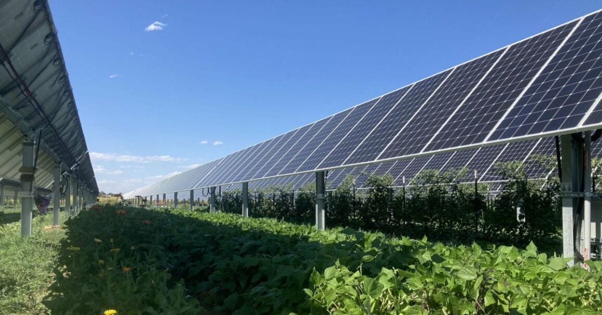 Chi phí lắp điện năng lượng mặt trời năm 2025: Tư vấn, phân tích và bảng giá chi tiết