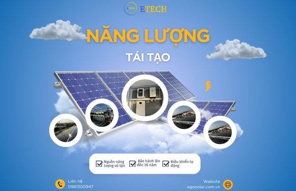 Năng lượng tái tạo bao gồm năng lượng mặt trời, gió, thủy điện, sinh học, địa nhiệt, biển và hydrogen, đóng vai trò quan trọng trong bảo vệ