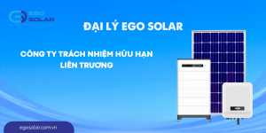 CÔNG TY TNHH LIÊN TRƯƠNG